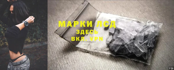 стаф Абинск