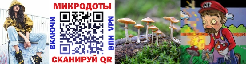 Галлюциногенные грибы Psilocybine cubensis  Татарск 